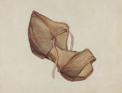 Shoe