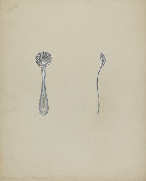 Silver Salt Spoon