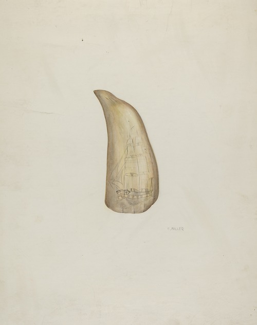 Scrimshaw