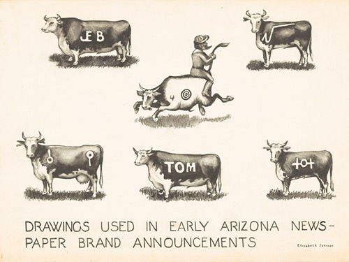 Newspaper Brand Announcements