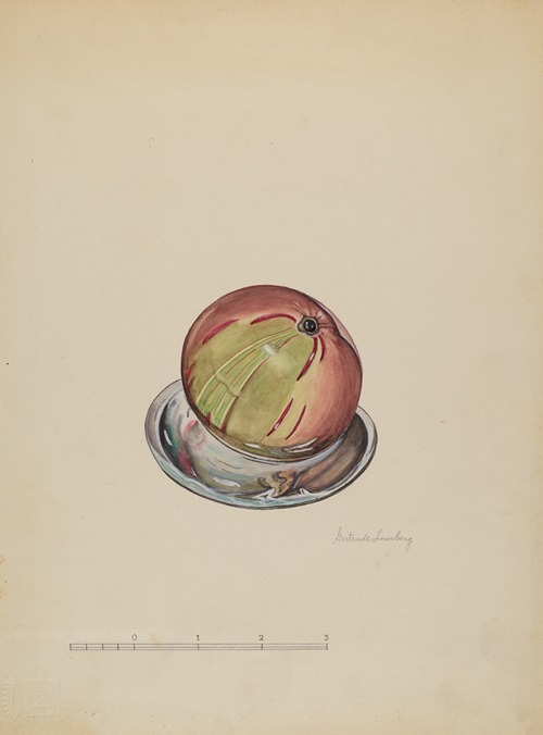 Paper Weight