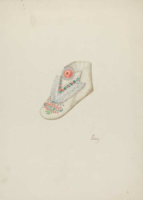 Baby’s Shoe