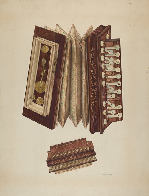 Woman’s Accordian