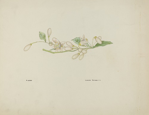 Costume Accessory (Orange Blossoms)