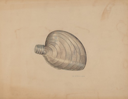 Shell Shaped Flask
