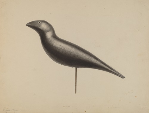 Decoy