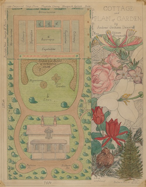 Ground Plan for Cottage