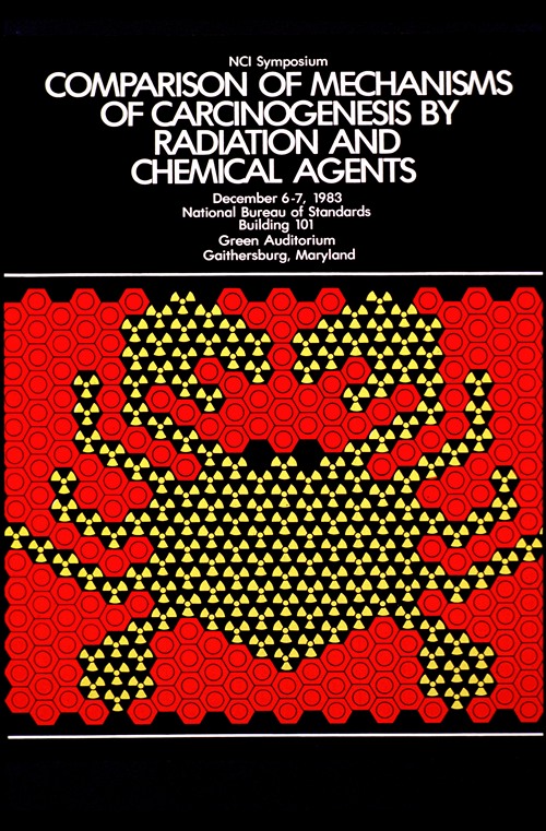 Comparison of mechanisms of carcinogenesis by radiation and chemical agents (1983)