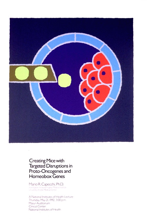 Creating mice with targeted disruptions in proto-oncogenes and homeobox genes