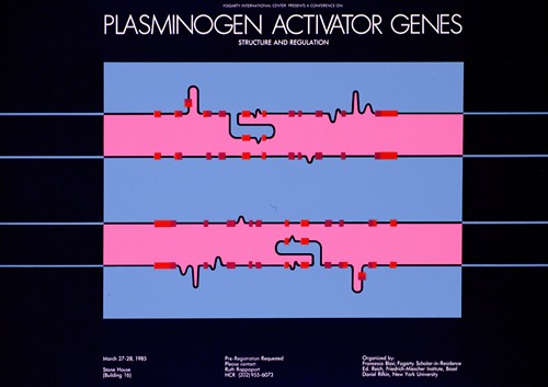 Fogarty International Center presents a conference on plasminogen activator genes