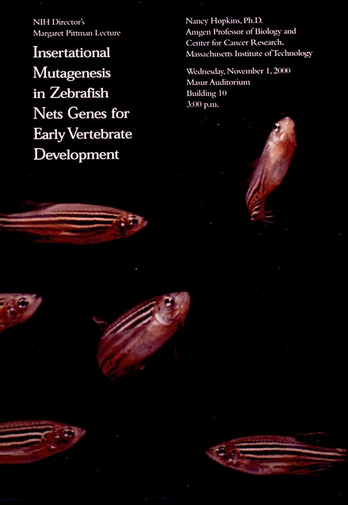 Insertational mutagenesis in zebrafish nets genes for early vertebrate development
