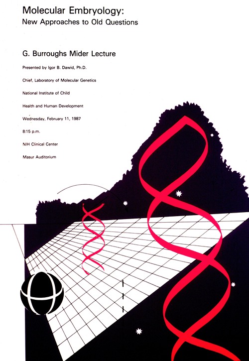 Molecular embryology; new approaches to old questions