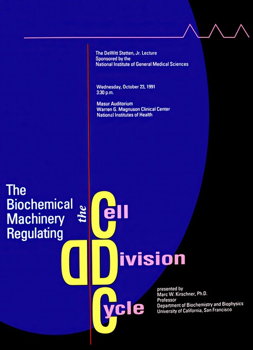 The biochemical machinery regulating the cell division cycle