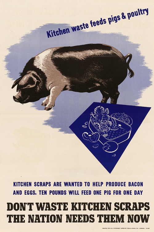 Don’t Waste Kitchen Scraps the Nation Needs Them Now 2