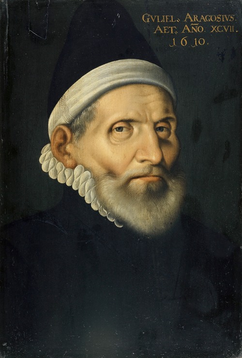 Portrait of the Professor of Medicine Wilhelm Aragosius from Toulouse
