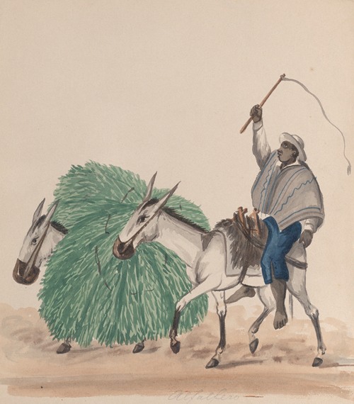 A man riding a mule, his whip raised, another mule loaded with grass alongside