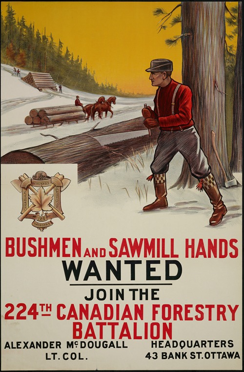Bushmen and Sawmill Hands Wanted – Join the 224th Canadian Forestry Battalion
