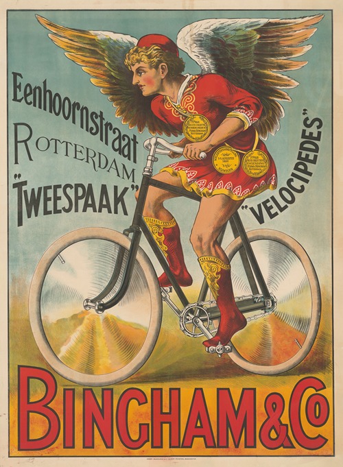 Eenhoornstraat Rotterdam. ‘Tweespaak’. ‘Velocipedes’. Bingham & Co.