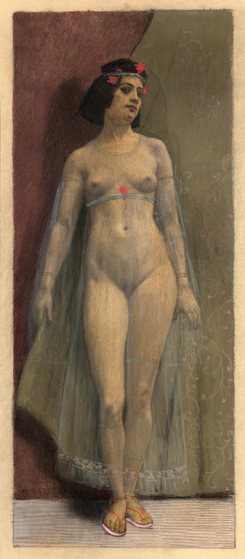 The beauty with the transparent veil