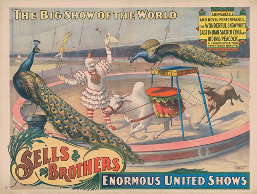 Sells Brothers enormous united shows. … The wonderful Snow White … zebu and riding peacock