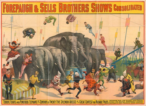 Terrific flights over ponderous elephants by a company of twenty-five splendid artists in a great contest for valuable prizes