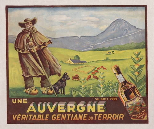 Une Auvergne véritable gentiane du terroir