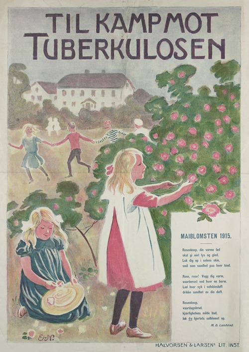 Til kamp mot Tuberkulosen, Maiblomsten 1915