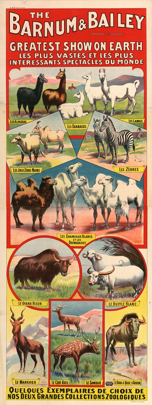 The Barnum & Bailey greatest show on earth. Les plus vastes et les plus intéressants spectacles du monde