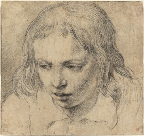 Head of a Young Man (recto)