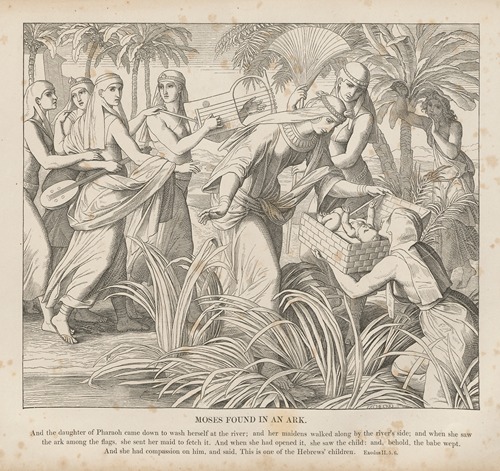 Moses found in an ark