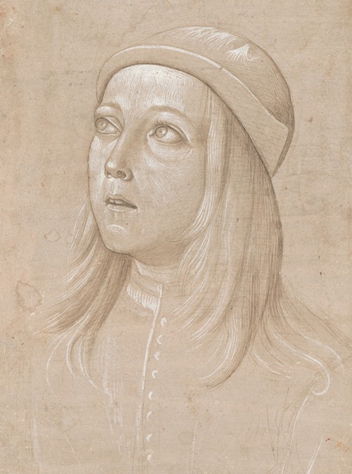 Head of a Youth Looking Up (c. 1485)