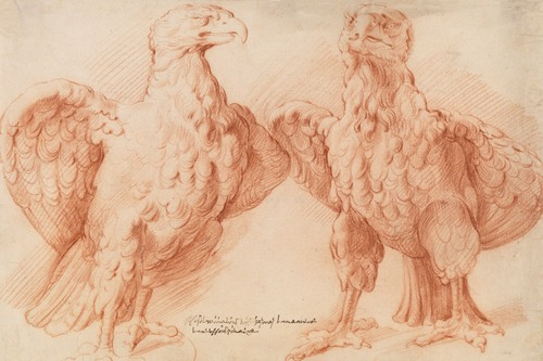 Eagle. Two studies of an antique sculpture; front view half turned to the right, and front view half turned to the left