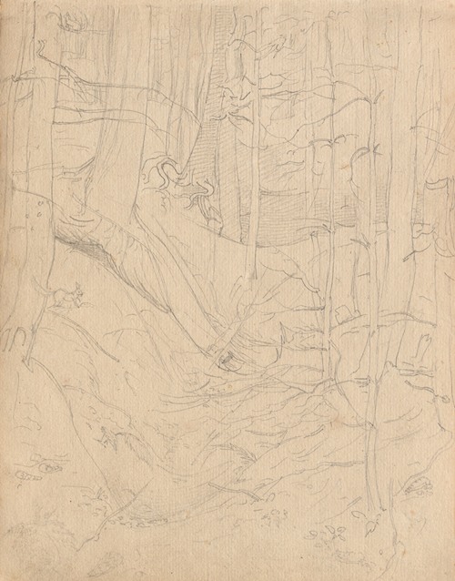 Album with Views of Rome and Surroundings, Landscape Studies, page 01a: Roman Landscape