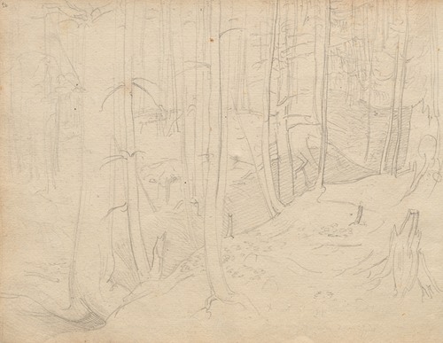 Album with Views of Rome and Surroundings, Landscape Studies, page 01b: Roman Landscape
