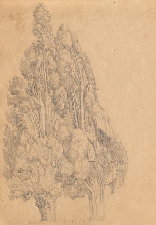 Album with Views of Rome and Surroundings, Landscape Studies, page 13a: Trees