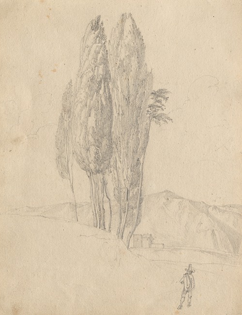 Album with Views of Rome and Surroundings, Landscape Studies, page 20a: Trees