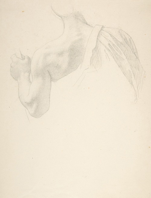 Left Arm and Shoulders of a Man Seen from the Back