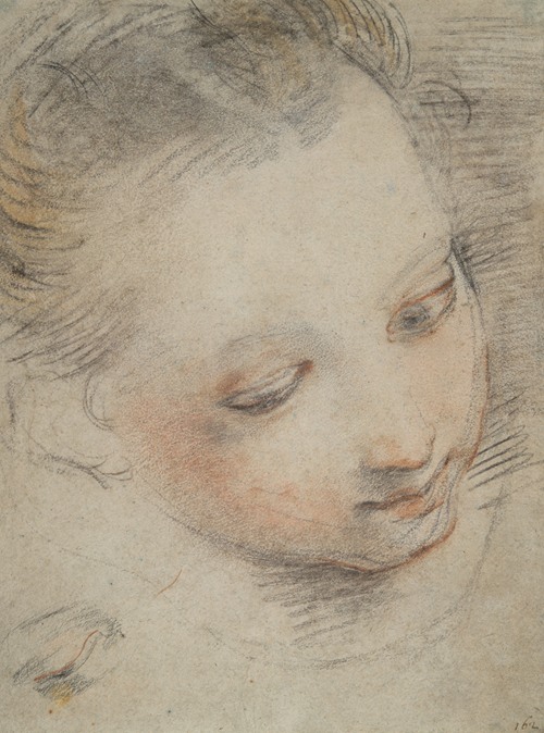 Head of a Girl, study for a figure in the Madonna del Popolo altarpiece in the Uffizi