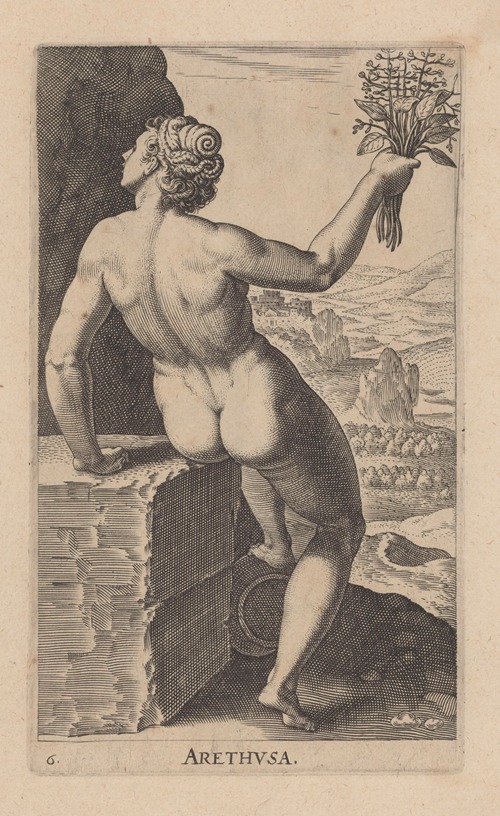 Arethusa
