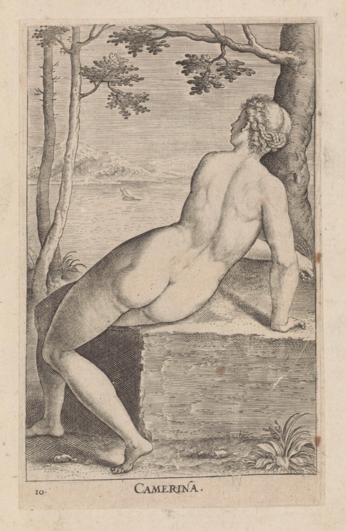 Camerina