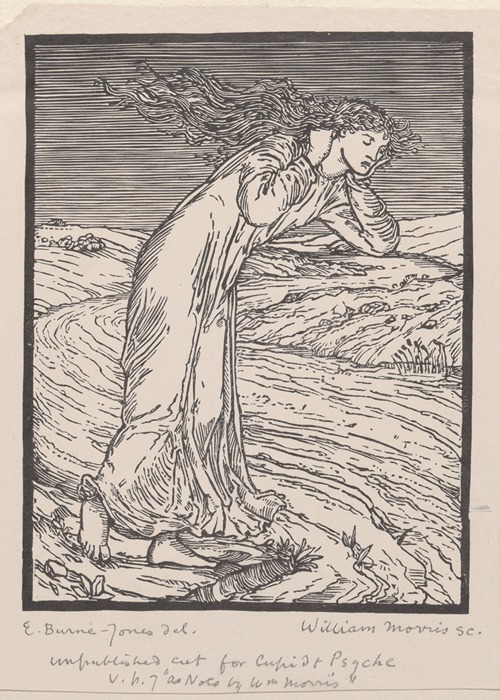 Psyche wandering in the wilderness