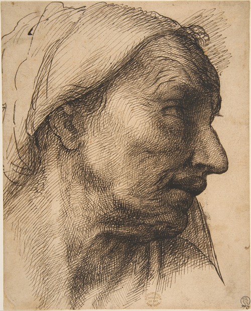 Head of an Old Woman (1485-1547)