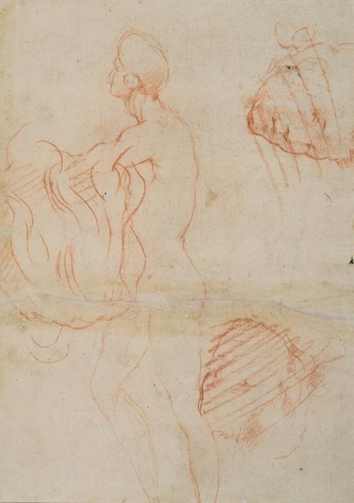 Figure Study and Face (1522-1526)