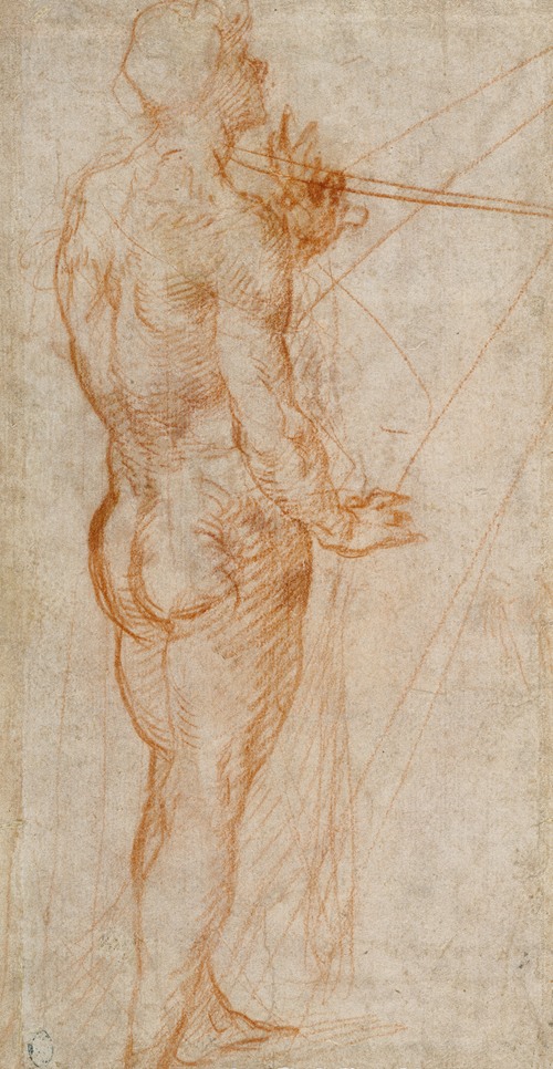 Study of a Nude Man (1517)