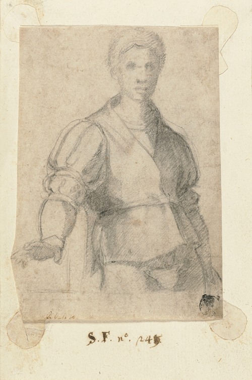 Study of a Young Man (1523)