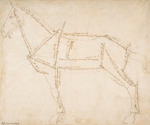 Measured Drawing of a Horse Facing Left (ca. 1480-88)