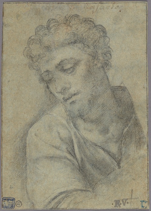 Study for the Figure of Christ Carrying the Cross (1513-1514)