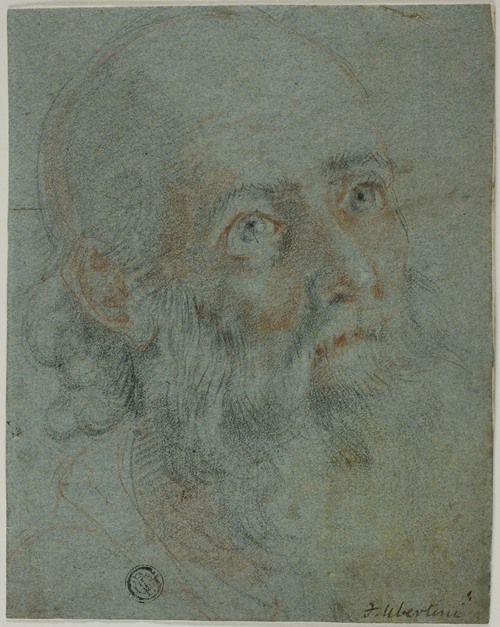 Head of a Bearded Man, Looking Up to Right; Study for Saint Catherine of Alexandria Disputing with the Pagan Priests