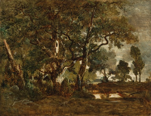 Forest of Fontainebleau, Cluster of Tall Trees Overlooking the Plain of Clair-Bois at the Edge of Ba…