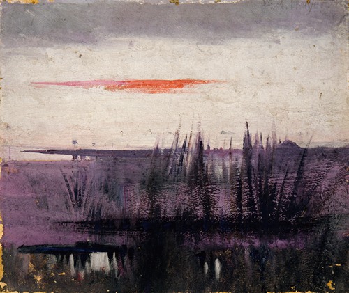 The Sky Simulated By White Flamingoes Study For Book, Concealing Coloration In The Animal Kingdom
